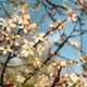 spring is in the air