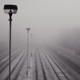 tracks