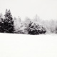 A fresh year