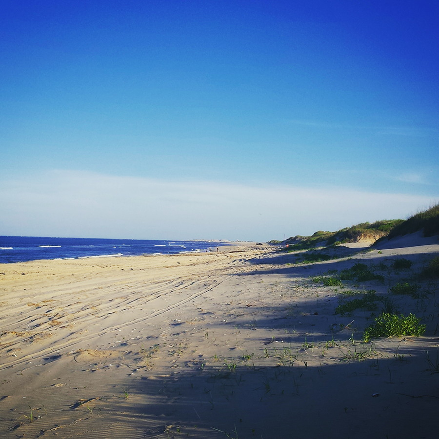 beachlife