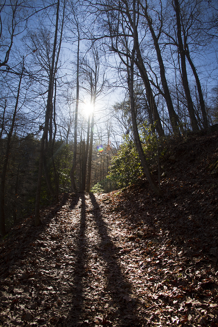 Hiking South Mountain